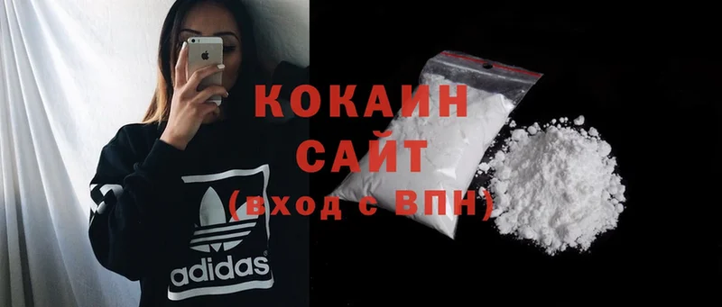 Cocaine FishScale  купить наркотики цена  Ревда 