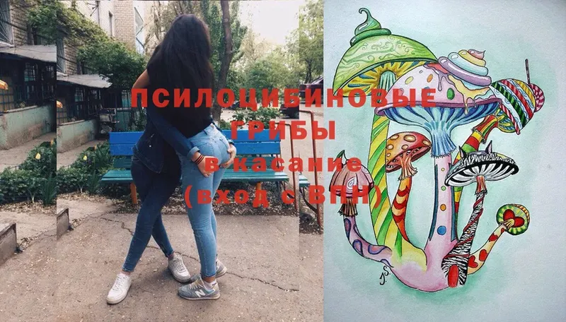 Псилоцибиновые грибы ЛСД  Ревда 